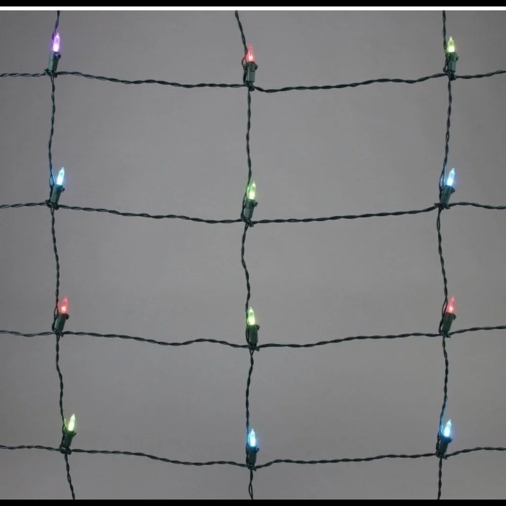 NWT Philips 100ct 4' x 6' LED App-Controlled multiColor Changing Mini Net
